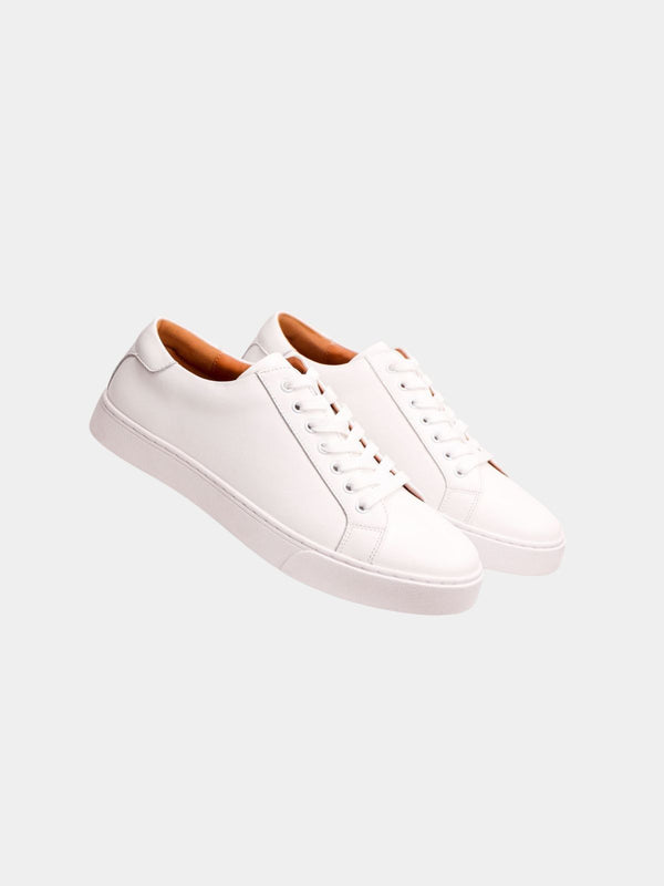 Men's Plain Toe Lace-Up Sneakers