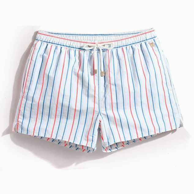 Men's Striped Drawstring Swim Shorts