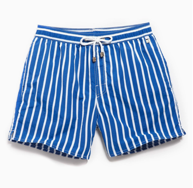 Men's Striped Drawstring Swim Shorts