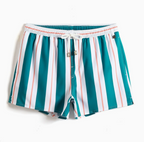 Men's Striped Drawstring Swim Shorts